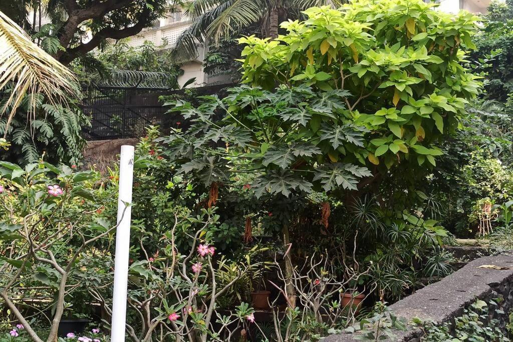Cozy Private Ac Studio By The Sea Bandstand Bandra W Mumbai Nr Taj Lands End Apartment Екстериор снимка